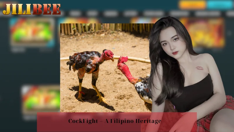CockFight - A Filipino Heritage