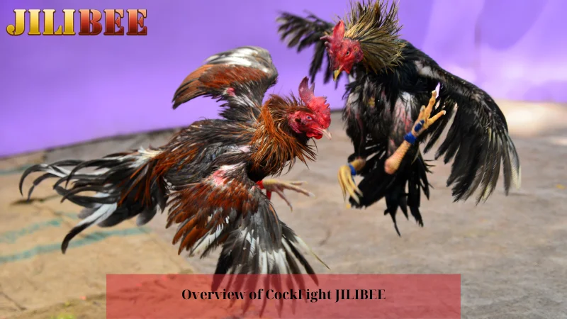 Overview of CockFight JILIBEE