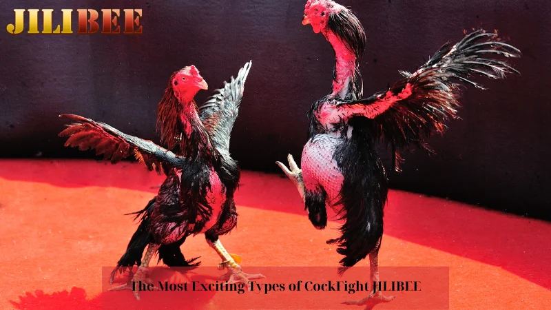 The Most Exciting Types of CockFight JILIBEE